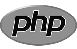 La web agency PubblisitiWEB utilizza PHP